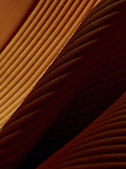 An abstract, close-up view of our ribbed 3D wallcovering. The deep shadows and highlights emphasize the sculptural quality of the material, turning a simple wall into a dynamic surface.
