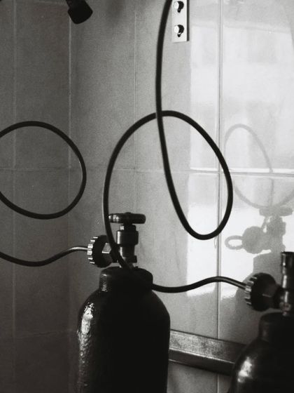 PM Swimming Centre - Specialized Aquatic Programs Health, Safety & Aquatic Therapy photo 10