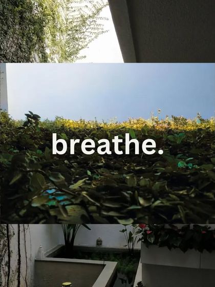 Outdoor Sanctuaries & Landscapes photo 6