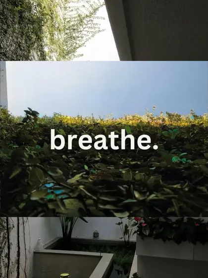 A reminder to breathe. We use landscaping and greenery, like this wall of creepers, to create spaces that feel fresh and connected to nature.