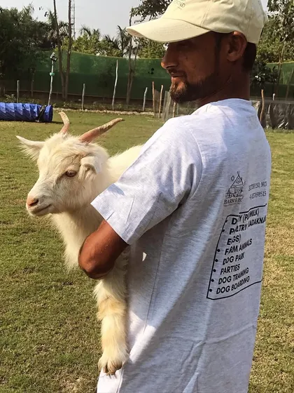 This is Candy, our super-soft Xing goat who loves cuddles. We know all our animals by name, and we can't wait for you to meet them and learn their unique personalities.