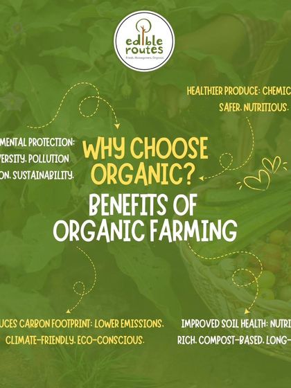Why choose organic? This graphic explains the core benefits, from healthier, chemical-free produce and improved soil health to protecting the environment by reducing our carbon footprint. This is the philosophy that drives everything I do.