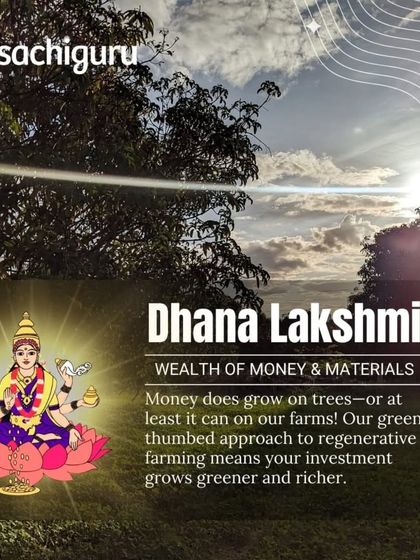 Dhana Lakshmi, the wealth of money and materials. Money does grow on trees, or at least it can on our farms. Our green-thumbed approach means your investment grows greener and richer.