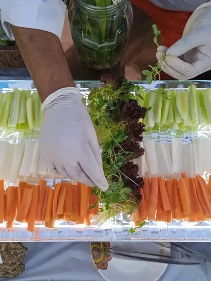 My team pays close attention to every detail, including creative presentations like this salad platter arranged to resemble the Indian flag for a special occasion.