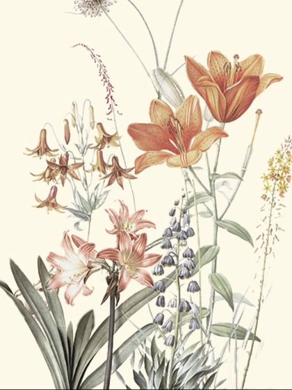 The original digital reference for the vintage floral mural, which I then recreated by hand on the bedroom wall.