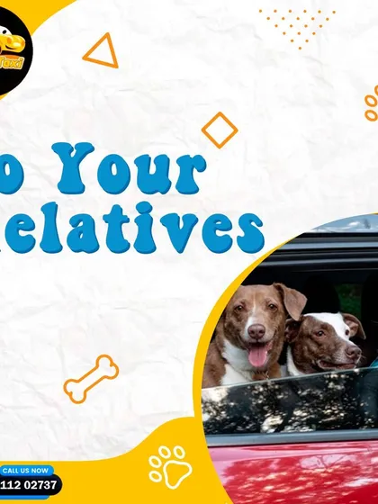 Need to send your pet to a relative's place for a while? I can ensure they get there safely, with or without you.