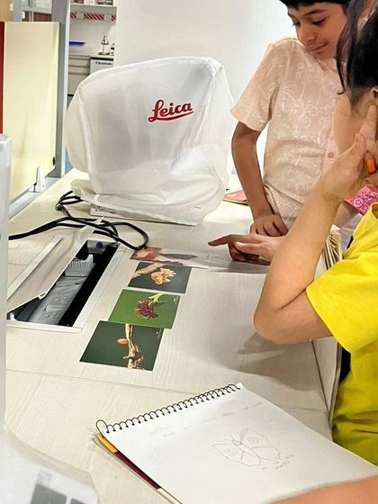 The Earth School - Montessori Primary & Elementary Program The World is Our Classroom photo 34