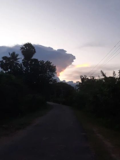 A quiet country road at sunset. These are the paths we walk in silence, allowing the beauty of the world to quiet the chatter of the mind.