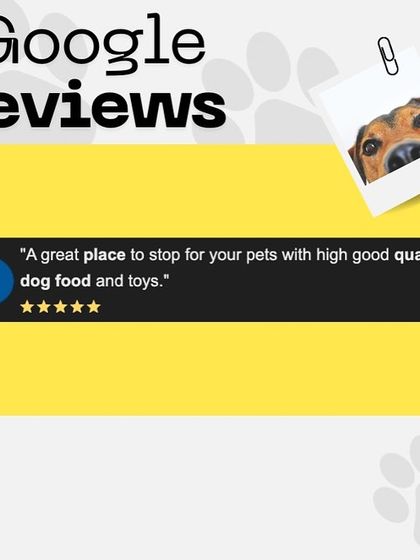 Oh My Dawg - Pet Supplies Our Community: Reviews & Adoption Drives photo 8