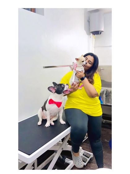 Furrybells Pet Grooming - Pet Grooming (Dogs & Cats) The Comfort-First Philosophy photo 19