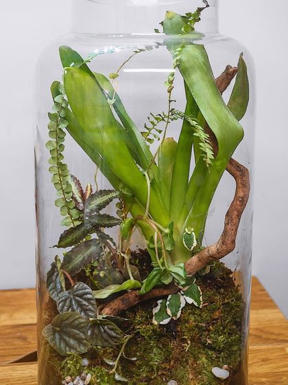 Creative Vessels: Teapots, Jars & More photo 46