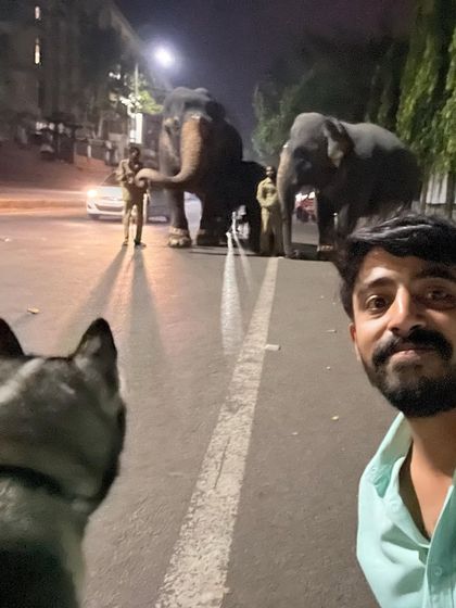 Brooke's Home - Dog & Cat Training Adventures & Socialization photo 8