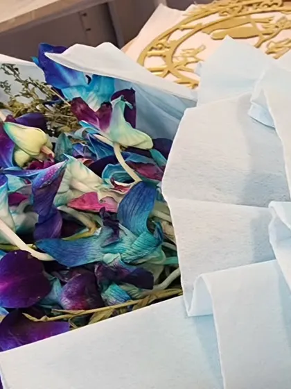 Let's preserve this! A beautiful bunch of fresh orchids ready to be dried and turned into a timeless piece of art.