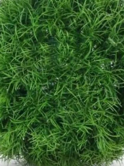 Another option for decorative greenery is this artificial grass ball. Its fine texture provides a different aesthetic, perfect for modern and minimalist terrace settings.