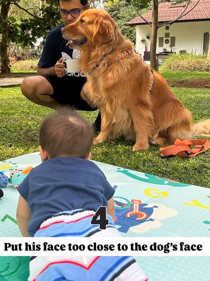 Nitika Ahlawat - Dog and Child Safety & Integration Safety First: Setting Boundaries for Kids & Dogs photo 5