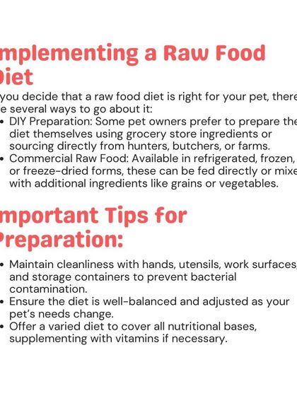 Woofly - Home Veterinary Services Nutrition & Diet Advice photo 8