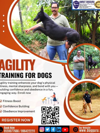 Dog Guru - Professional Dog Trainer Certification Advanced Training in Action photo 4
