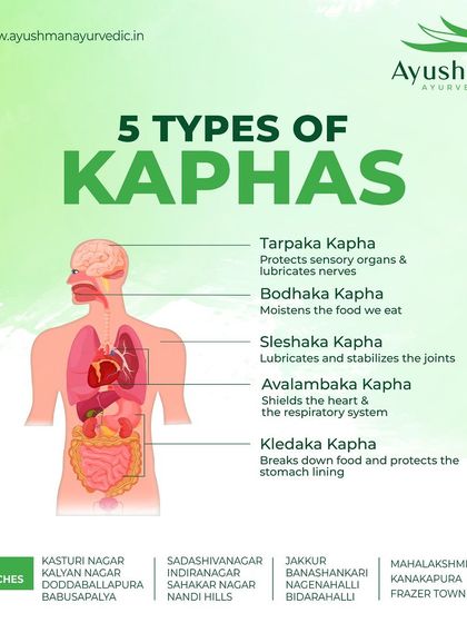 Did you know there are five types of Kapha dosha in the body? This educational graphic breaks down each one, from Tarpaka Kapha in the head to Kledaka Kapha in the stomach, explaining their unique functions.