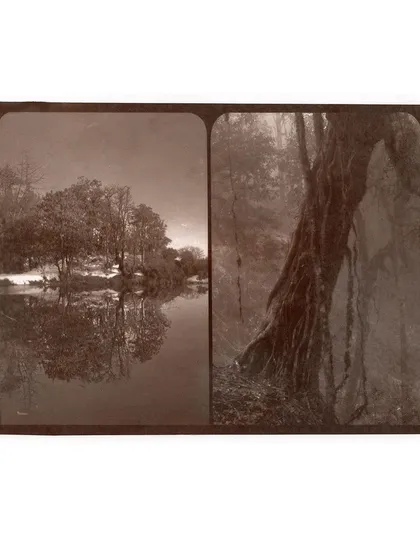 An albumen print created in our darkroom. Made using egg whites as an emulsion, this 19th-century process is known for its fine detail and unique glossy sheen.