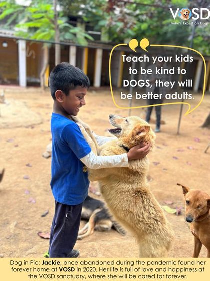 Jackie, seen here sharing a hug with a young visitor, was abandoned during the pandemic. She found her forever home with us in 2020 and now lives a life full of love.