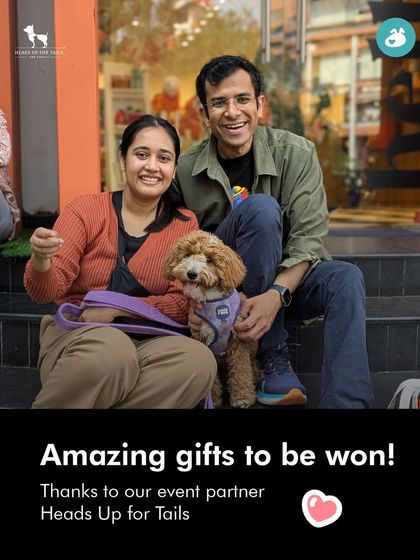 The Pack - Pet-Friendly Adventures & Meetups City Meetups & Doggie Picnics photo 14