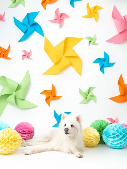 This fluffy white Pomeranian looks so elegant against the bright colors of the pinwheel backdrop. Creating a visually exciting set is key to a successful themed campaign, and this shoot was full of energy and joy.