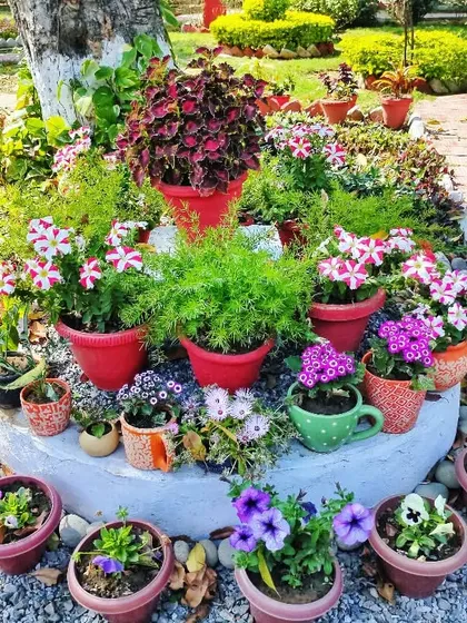 We love creating beautiful arrangements with potted plants. This circular garden bed features a curated mix of seasonal flowers in various pots, adding texture, color, and a central point of interest to the landscape design.