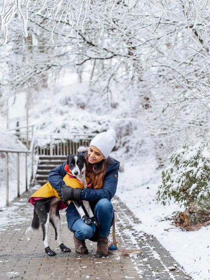 Rohit - Family & Pet Photography Seasonal Splendor: Spring & Autumn photo 17