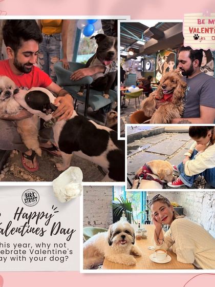 A collage showing happy Valentine's Day moments. Our cafe is a place to celebrate love of all kinds, especially the furry kind.