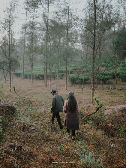 Ananthu and Sarga walking away into a misty forest. This shot creates a sense of a shared journey and a story that is just beginning.