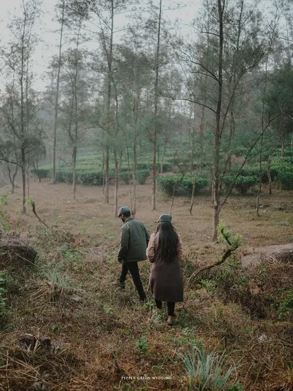 The couple walks away into a misty forest, a beautiful and symbolic image of them starting their journey together.