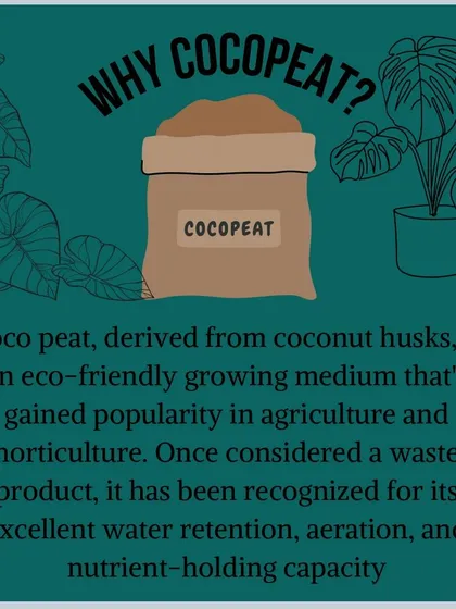 We use cocopeat, an eco-friendly growing medium derived from coconut husks. It has excellent water retention, aeration, and nutrient-holding capacity, making it ideal for hydroponics.