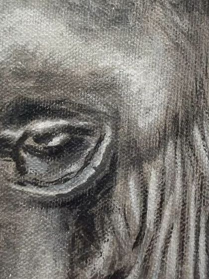 A macro shot of the elephant's eye, showing the detailed brushwork.