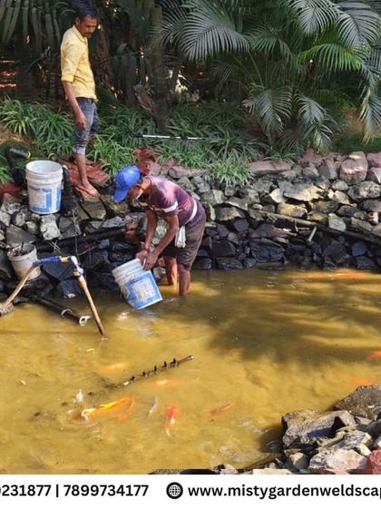 Our team begins the fish pond maintenance process. This involves carefully draining some of the murky water and preparing to clean the pond floor and filter systems.
