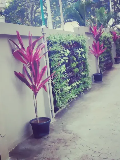 Here, I used smaller vertical garden sections to break up a long exterior wall. I paired them with potted cordyline plants to add height and a splash of red color.