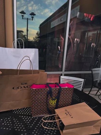 A detail shot of the shopping bags from brands like Coach and Tory Burch, highlighting the results of a successful shopping trip.