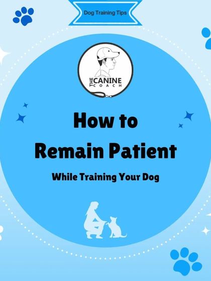 Patience is a pillar of my training method. This series of tips will help you stay calm and effective, even when you feel frustrated.