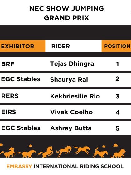 The official results for the NEC Show Jumping Grand Prix, where a rider from my school secured a top-five finish against the best in the country.