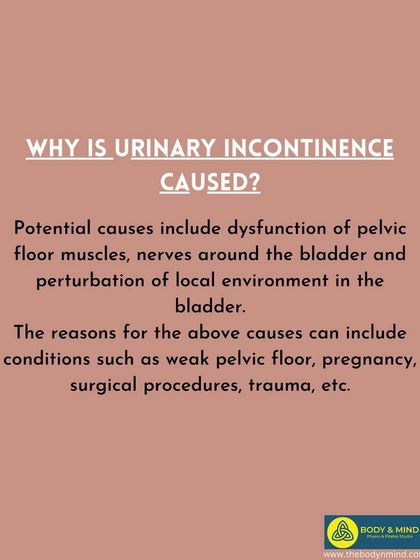 Body & Mind PhysioPilates Studio - Women's Health Physiotherapy Pelvic Floor & Core Health photo 9