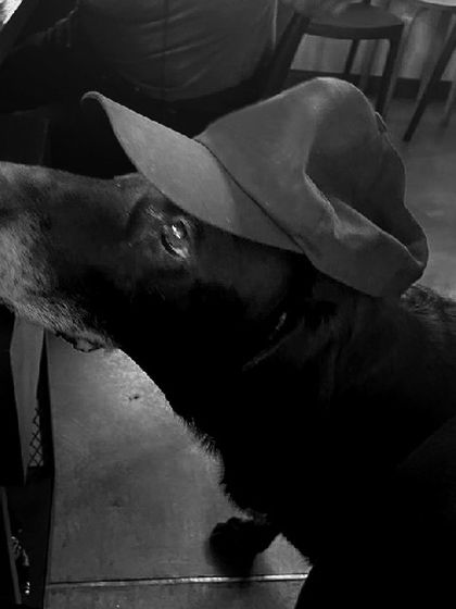 Studio XS - Architectural Design The Studio Playbook & Office Life photo 20