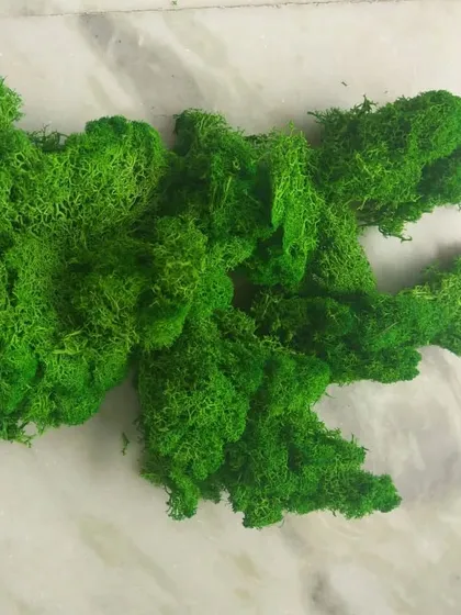 A pile of preserved green moss on a marble surface, showcasing its vibrant color and fluffy texture.