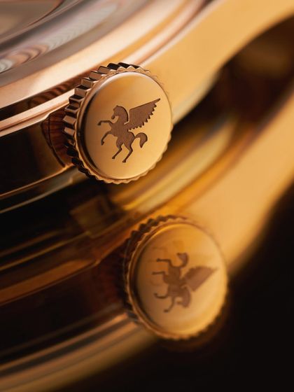 It's all in the details. This macro shot of the Argos crown shows the brand's Pegasus logo with perfect sharpness. Capturing such a tiny, engraved detail requires precise focus and lighting to make it stand out.