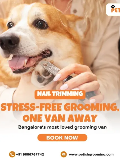 Petish Grooming - Mobile Grooming for Dogs & Cats Our Full Grooming Process photo 10