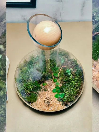 Another view of the decanter terrarium, showing the beautiful path-like design made with sand. It’s a gift that symbolizes growth and appreciation.