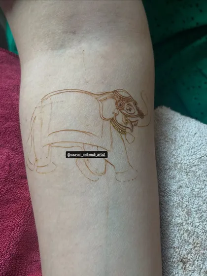 The very first step. This is the outline of a royal elephant, which will later be filled with intricate details.