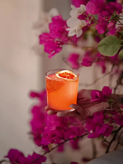 A bright orange cocktail held against a backdrop of bougainvillea, a perfect harmony of bright citrus, deep spirits, and a hint of spice.