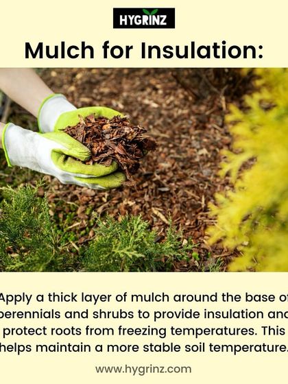 Hygrinz - Garden Maintenance Gardening Know-How: Tips & Techniques photo 14