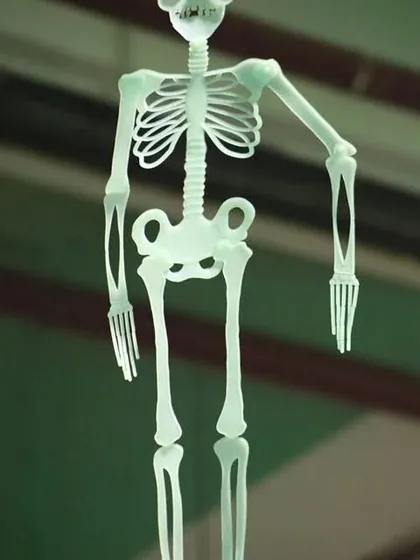 A close-up of one of our hanging skeleton props. Attention to detail with props like these is what makes our Halloween themes feel complete and authentic.