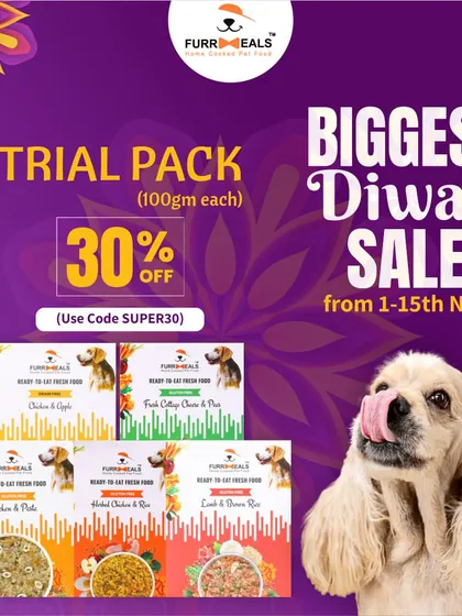 For pet parents who want to try a little bit of everything, my Trial Pack is the perfect start. It lets your dog sample different recipes like Chicken & Apple, Fresh Cottage Cheese & Peas, and Lamb & Brown Rice.
