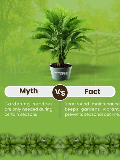 Myth: Gardening services are only needed during certain seasons. Fact: Year round maintenance is key to keeping gardens vibrant and preventing seasonal decline.